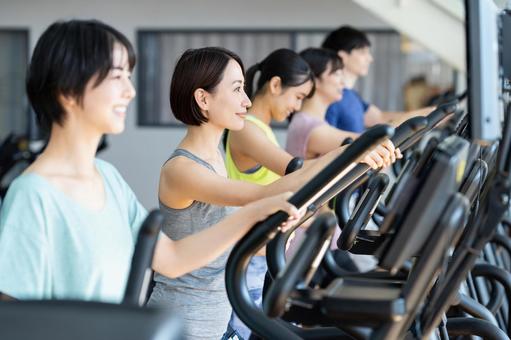 ジムでトレーニングするミドルの女性 ジム,女性,トレーニングの写真素材