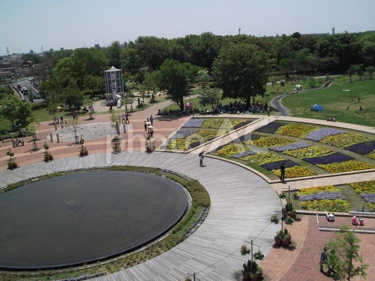 公園の風景（2012年） 空,フラワーパーク江南,江南フラワーパークの写真素材