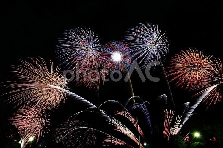 綺麗に撮れた名古屋港芸術花火０２ 花火,夜景,名古屋港の写真素材