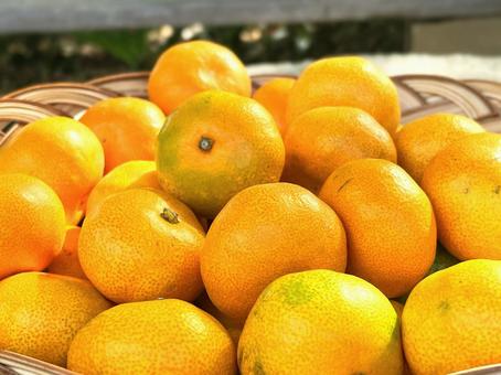 カゴに入ったみかん みかん,蜜柑,温州みかんの写真素材