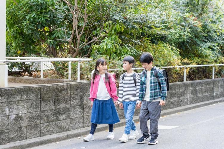 登下校する小学生 ランドセル,歩く,登下校の写真素材