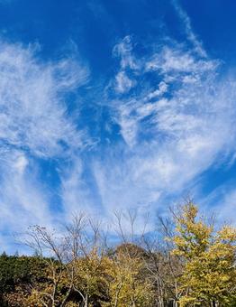 秋の始まり 空,青空,秋の空の写真素材