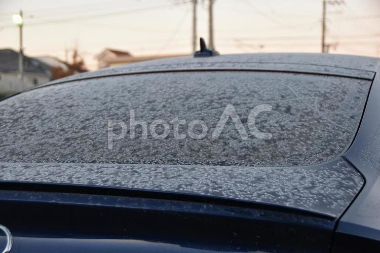 乗用車のルーフの霜 冬景色,自動車,霜の写真素材