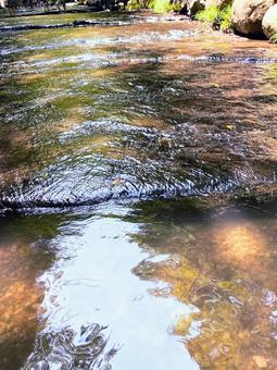 清らかな小川のせせらぎ 小川,せせらぎ,自然の写真素材