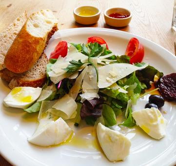 サラダ サラダ,モッツァレラチーズ,オリーブの写真素材