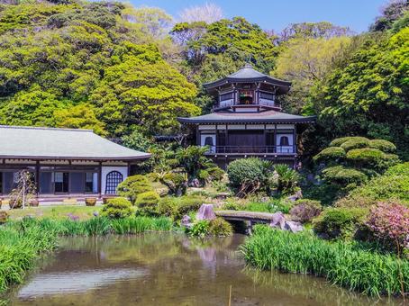 【神奈川県】鎌倉市・光明寺 【神奈川県】鎌倉市・光明寺 光明寺,大聖閣,記主庭園の写真素材