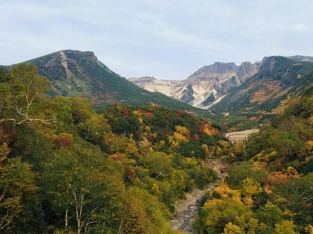 十勝岳連峰 十勝岳連峰 十勝岳温泉,上富良野,標高1280mの写真素材
