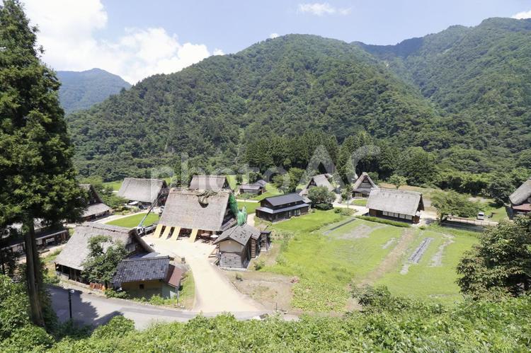 五箇山ー菅沼合掌造り集落 五箇山,菅沼合掌造り集落,菅沼の写真素材