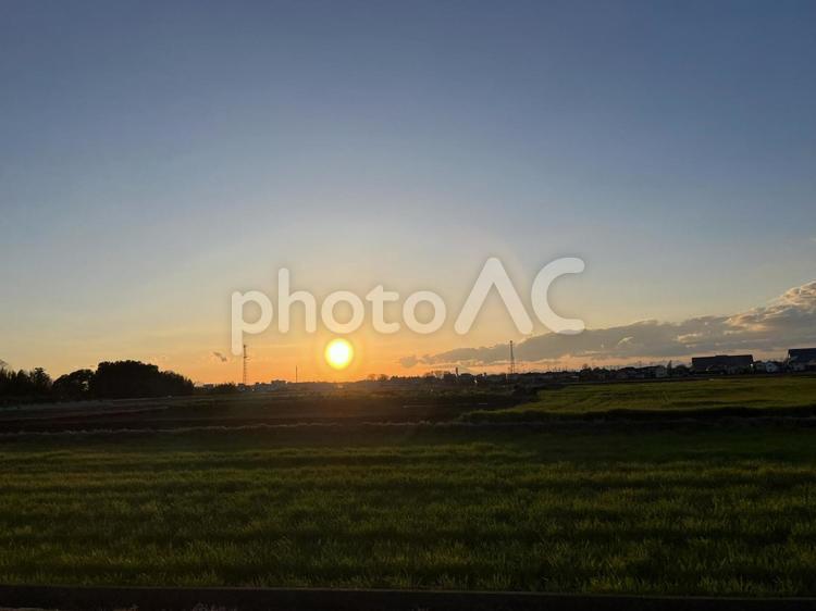 田んぼと夕日 空,夕日,田んぼの写真素材