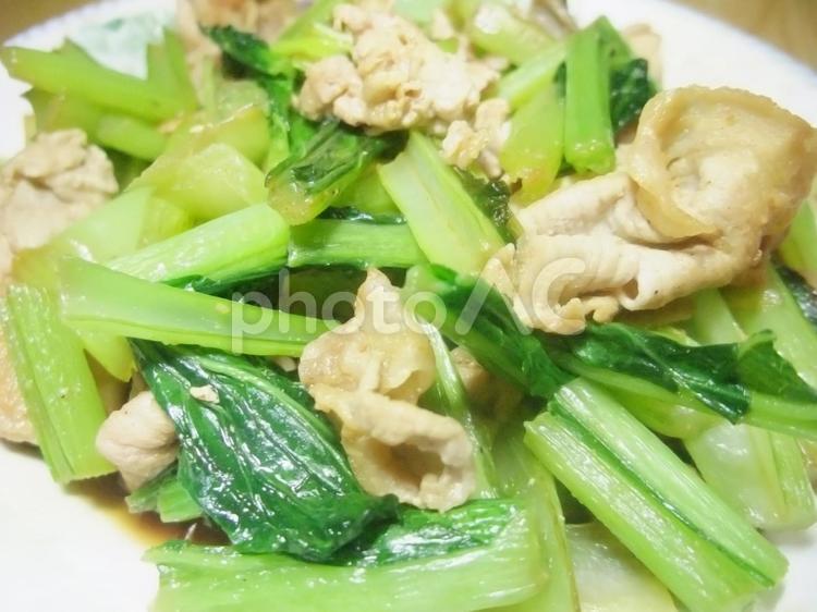 小松菜と豚の炒め物 小松菜,野菜炒め,コマツナの写真素材