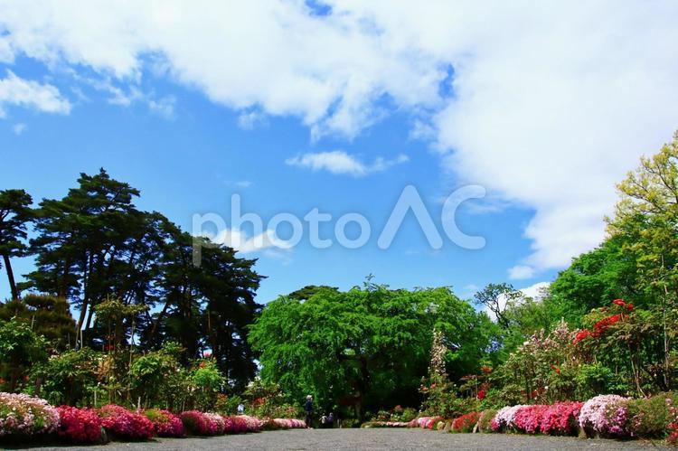 春の日本庭園のイメージ 庭,庭園,日本庭園の写真素材