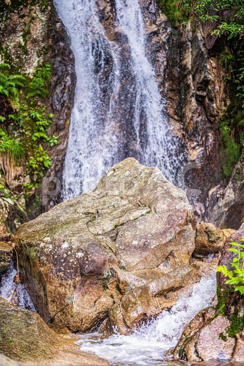 滋賀県大津市　楊梅の滝（雌滝）8 滝,水,川の写真素材