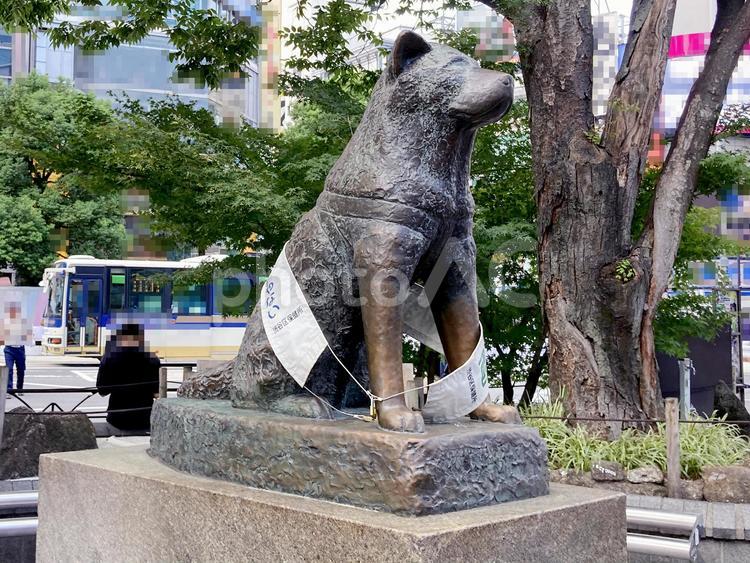 東京風景・渋谷 渋谷,ハチ公,忠犬ハチ公の写真素材