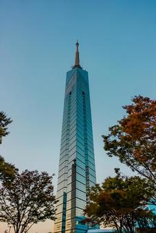 【福岡】福岡タワー 福岡,綺麗,風景の写真素材