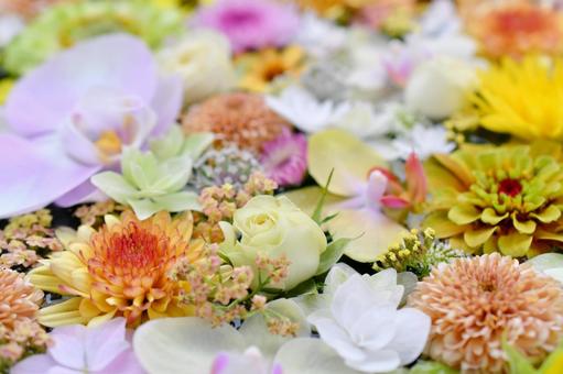 花手水 花手水の写真