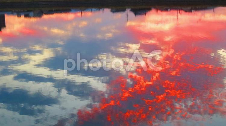 ６月下旬の池の朝焼け 背景,朝焼け,黄昏の写真素材