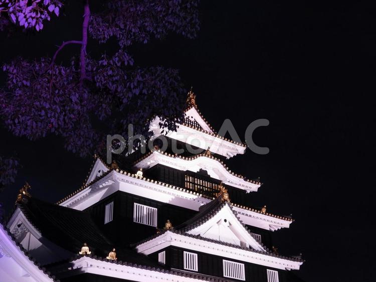 ライトアップされた岡山城天守閣 岡山城,ライトアップ,夜の写真素材