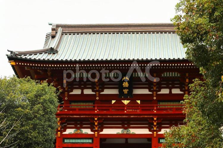 鶴岡八幡宮3(神奈川県鎌倉市) 鶴岡八幡宮,参拝,お参りの写真素材
