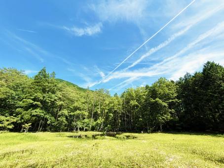 飛行機雲が伸びる青空と日を浴びる木々 飛行機雲が伸びる青空と日を浴びる木々 飛行機雲,空模様,空の写真素材