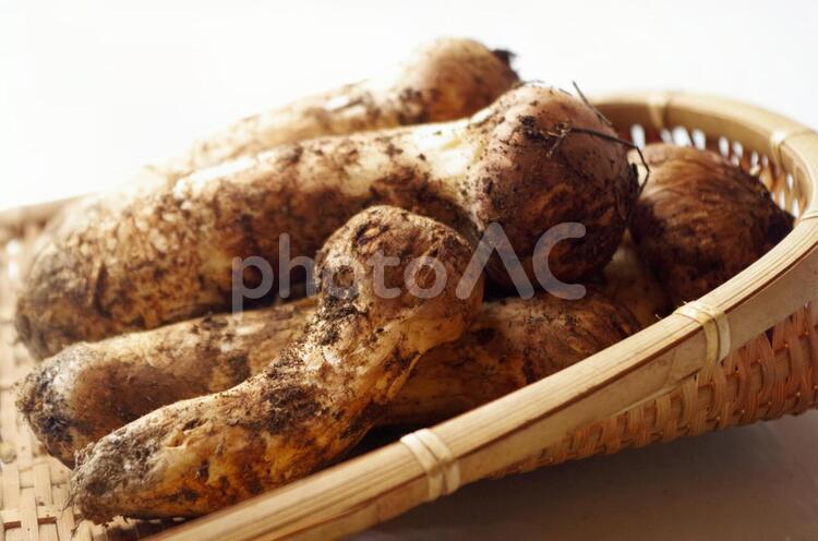 採りたて松茸１ 松茸,キノコ,野菜の写真素材