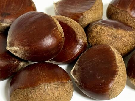 栗　(大) 栗,木の実,食べ物の写真素材