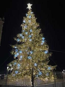 イルミネーションクリスマスツリー クリスマス,クリスマスツリー,12月の写真素材