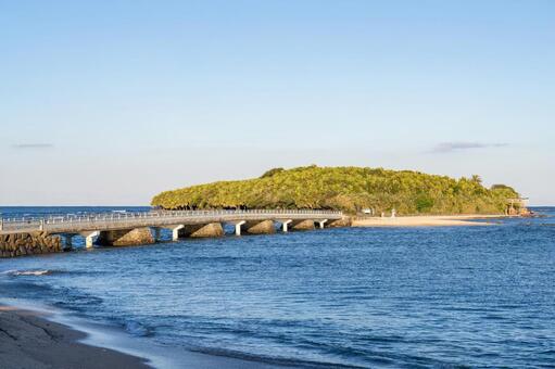 夕方の弥生橋と青島神社 弥生橋,青島神社,神社の写真素材