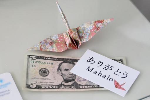 チップ チップ チップ,お礼,ドルの写真素材