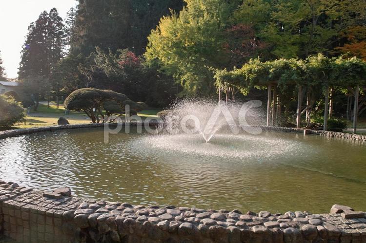 函館　赤川水源地 秋,噴水,水の写真素材
