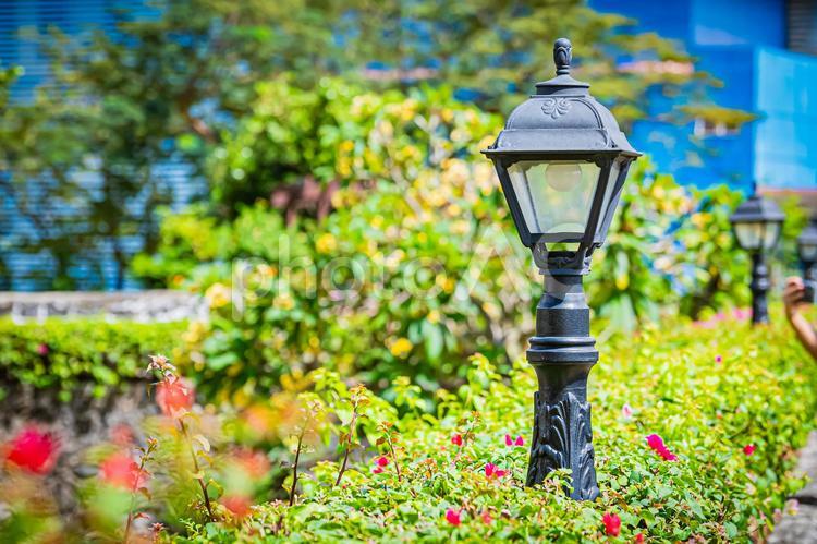 フィリピン　セブ　サン・ペドロ要塞 フィリピン,philippines,セブの写真素材