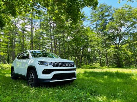 車と森林 suv,車,自動車の写真素材