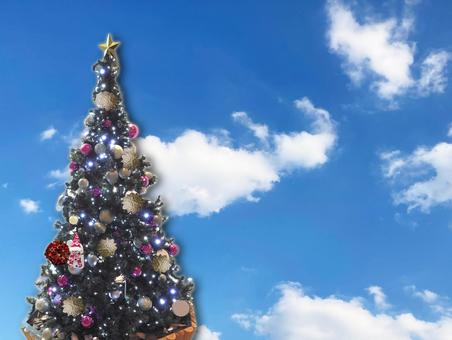 青空とクリスマスツリー クリスマスツリー,クリスマス,青空の写真素材