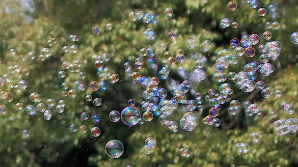 夏休みの公園で沢山のシャボン玉飛んだ シャボン玉,夏休み,しゃぼん玉の写真素材