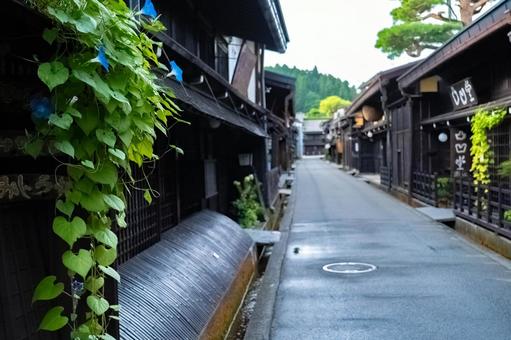 朝顔と高山市の街並み 朝顔と高山市の街並みの写真