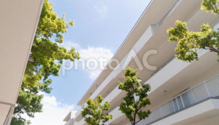 高層マンションを見上げる マンション,不動産,住宅の写真素材