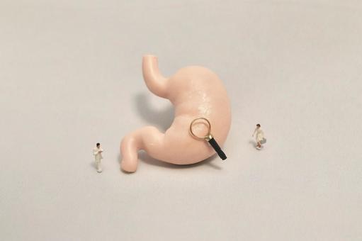 胃カメラ（胃部内視鏡）のイメージ　白 胃カメラ,鑑定,調査の写真素材