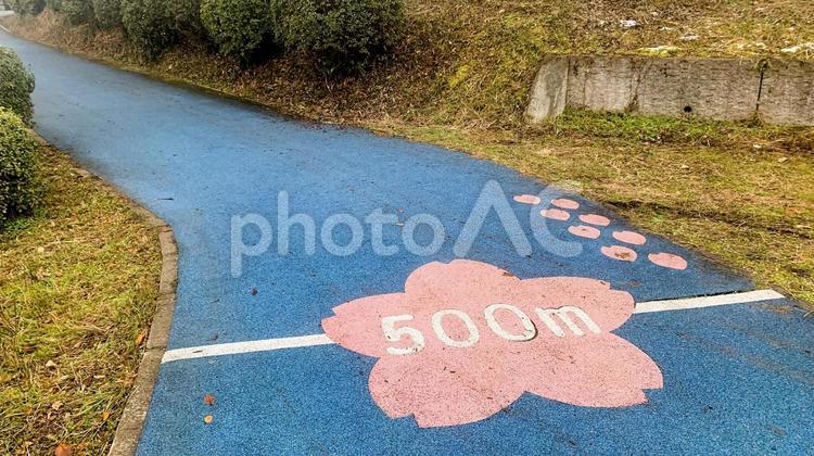 冬の甘木公園 冬,公園,自然の写真素材