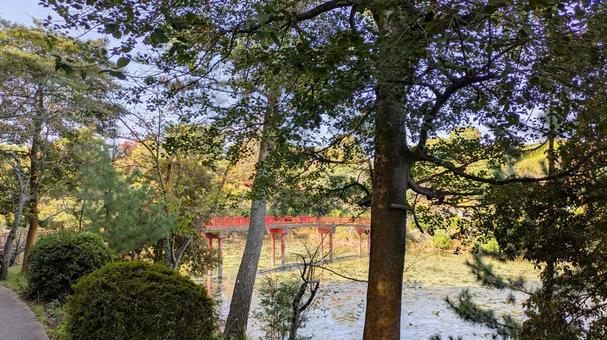 静寂の森と紅の橋 秋,今治市市民の森公園,赤橋の写真素材