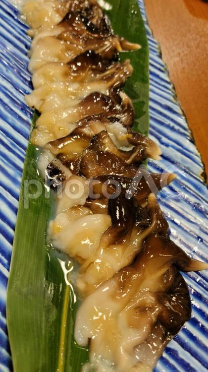 とり貝の刺身 とり貝,トリガイ,丹後の写真素材