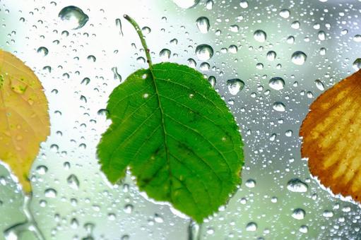 Raindrops, JPG
