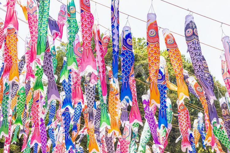 鯉のぼり　こどもの日　 春,gw,こどもの日の写真素材