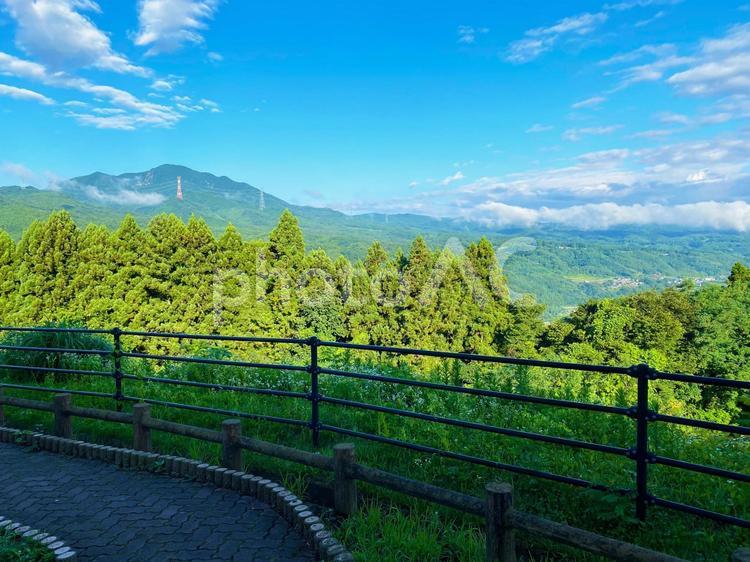 赤城高原サービスエリアからの眺め2 木,新緑,山の写真素材
