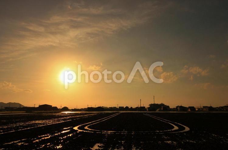 田植え前の田園風景です 田んぼ,太陽,陽光の写真素材