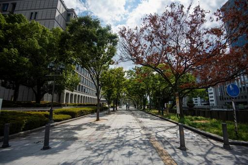 大阪市役所横の遊歩道 大阪市役所横の遊歩道 大阪,大阪市役所,遊歩道の写真素材