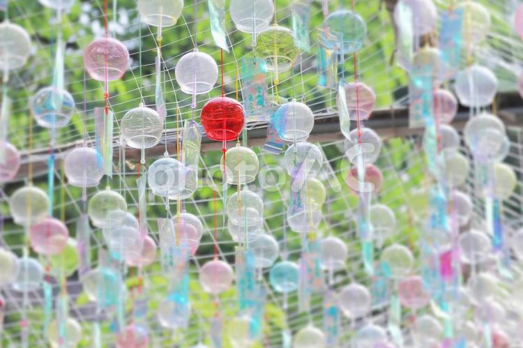 涼し気な夏のガラスの風鈴 風鈴,夏,ガラス風鈴の写真素材