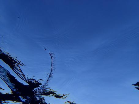 海中から見る空 海中から見る空 海,スキューバダイビング,沖縄の写真素材