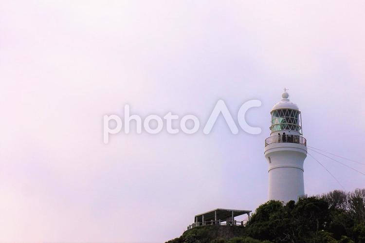 白い灯台　御前崎 御前崎灯台,灯台,観光客の写真素材