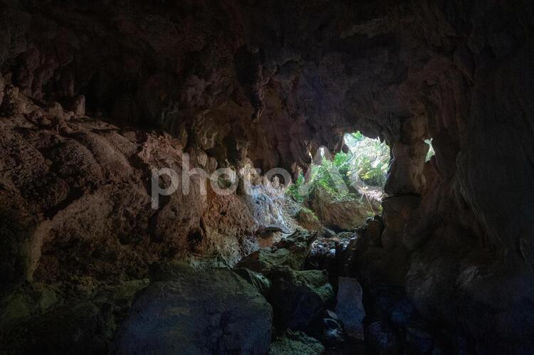 西表島の洞窟 洞窟,鍾乳洞,探検の写真素材