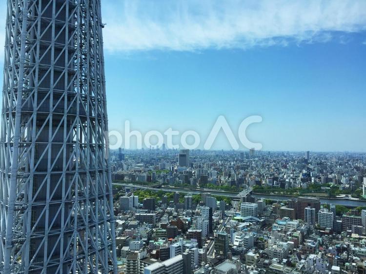 東京スカイツリーと街並み 東京スカイツリー,スカイツリー,街並みの写真素材