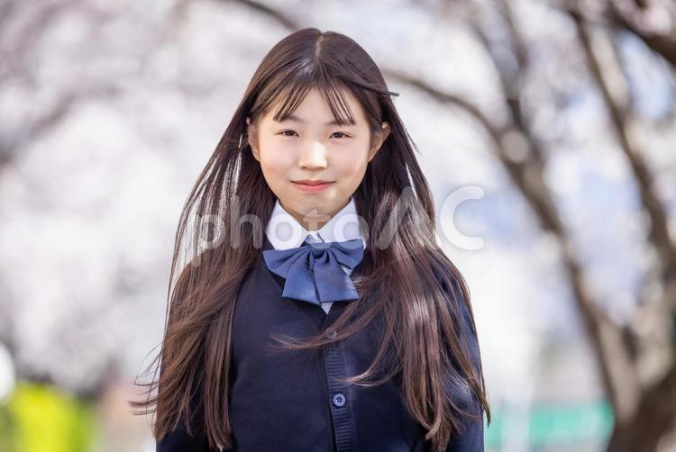 桜の下で微笑む学生 女子学生,学生,制服の写真素材